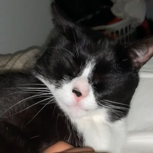 Meet your Posher, Dalia